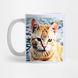 Young Yellow Cat Portrait Mug